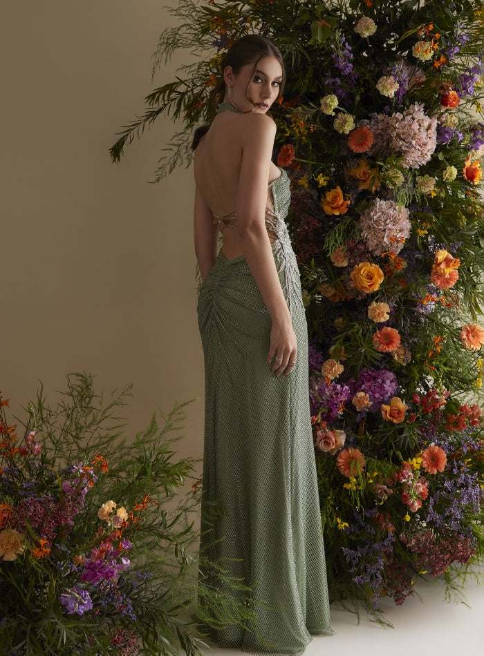 Magnolia